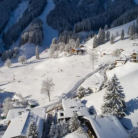 Sunny Ferienwohnungen Ski In- Ski Out *