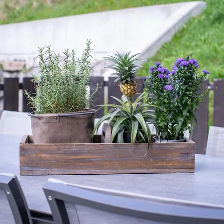 Sunny In - Out - Self Check-in Zell am See